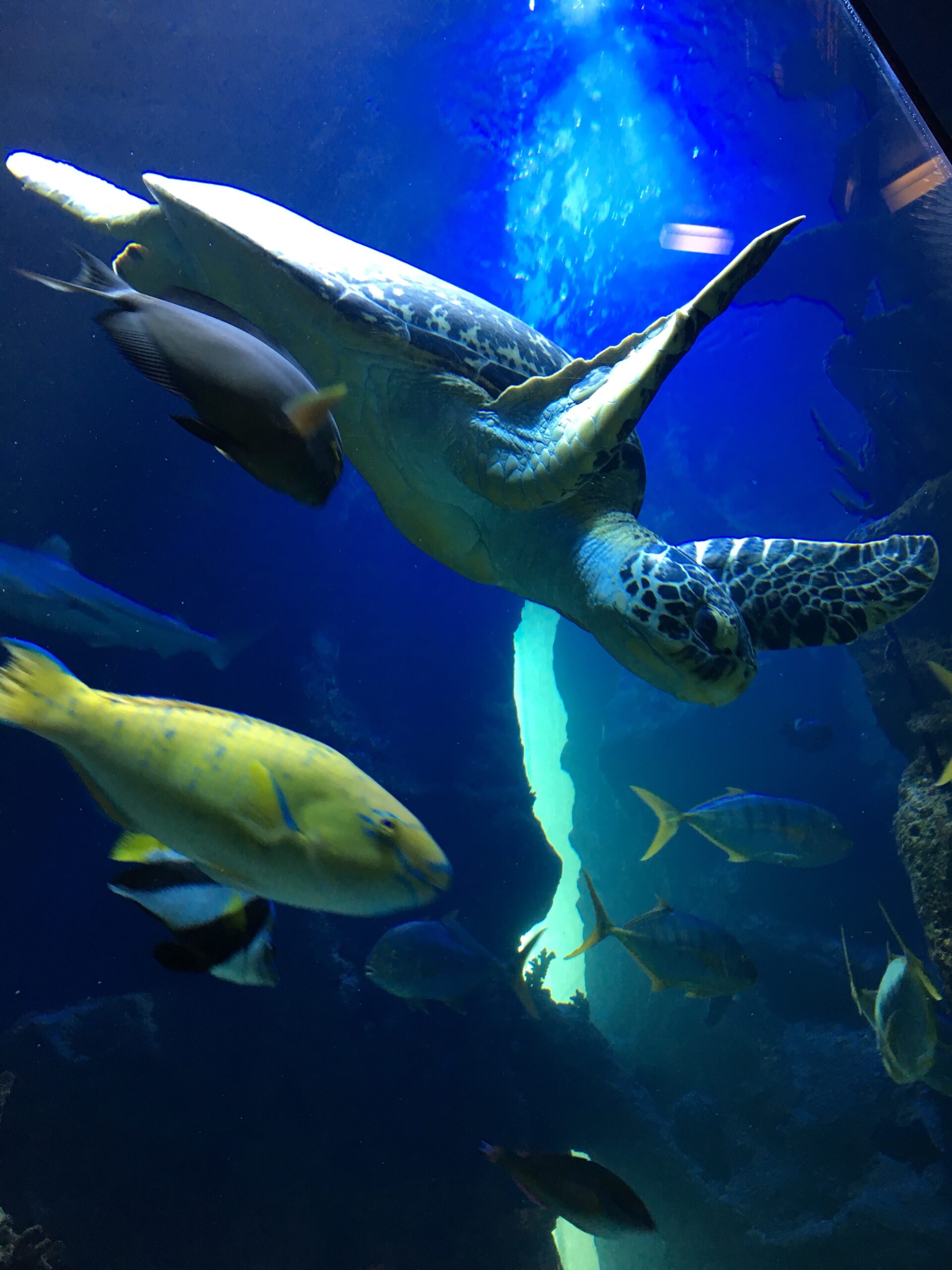 2018 Bavaria & Vienna – Day 13