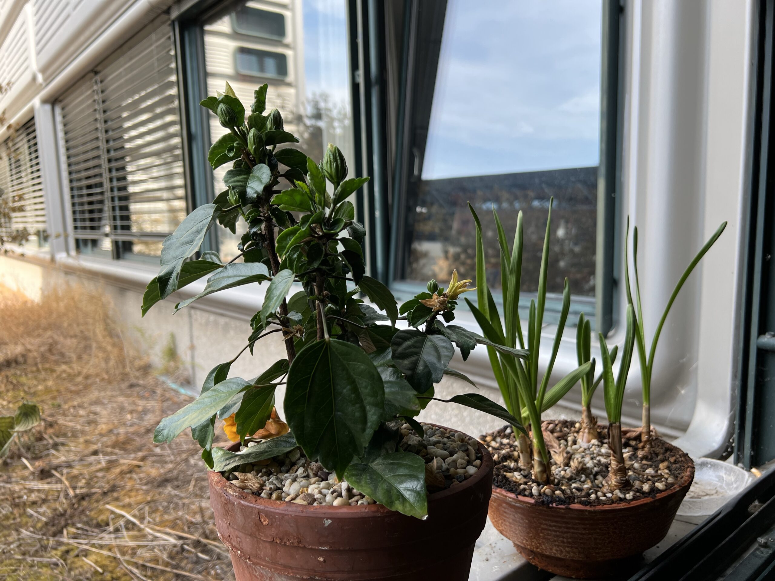 2022歐洲找老婆Day5