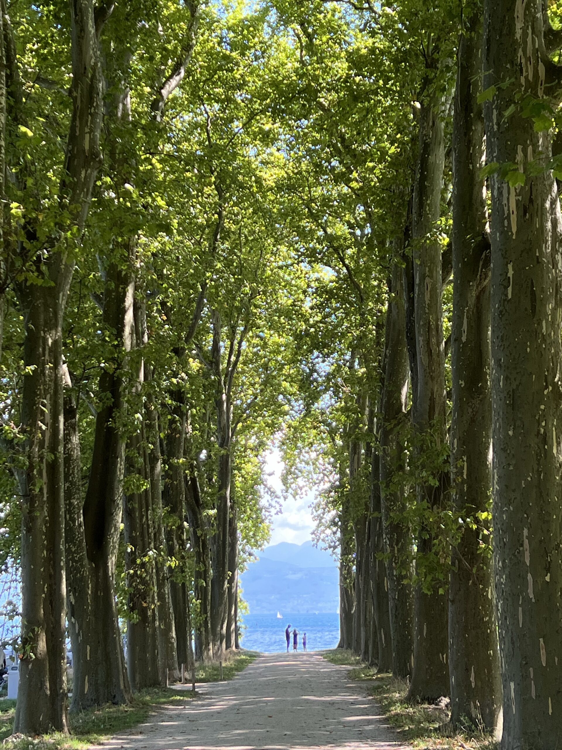 2022歐洲找老婆Day15