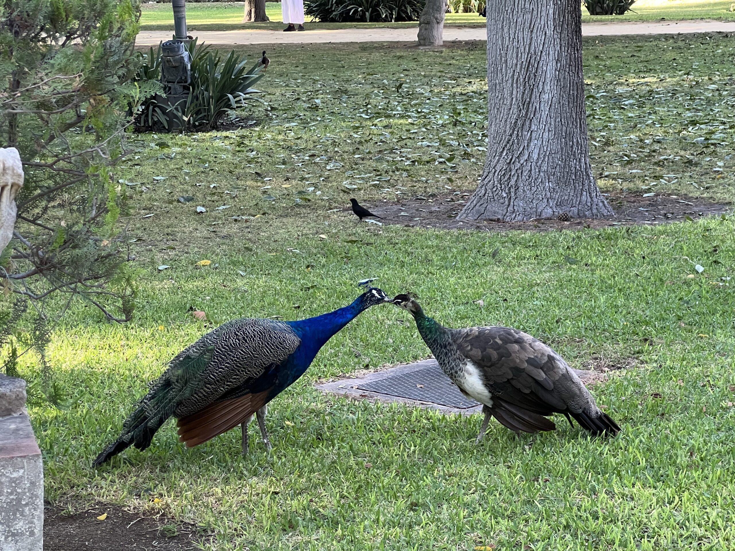 2022葡西懶散旅行Day11