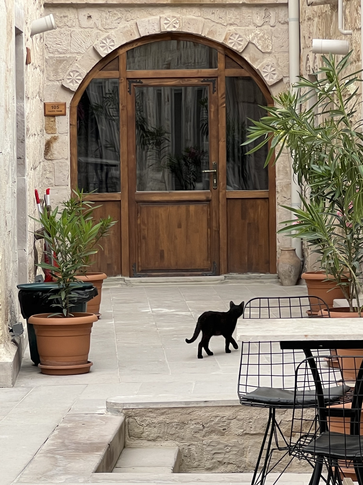 2024歐洲風濕年會順遊土耳其Day2