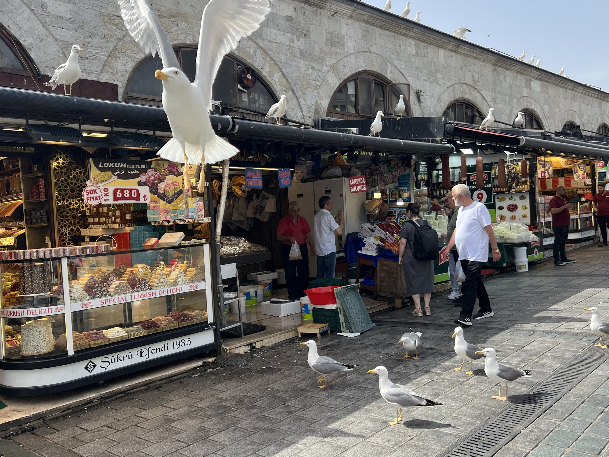 2024歐洲風濕年會順遊土耳其Day6