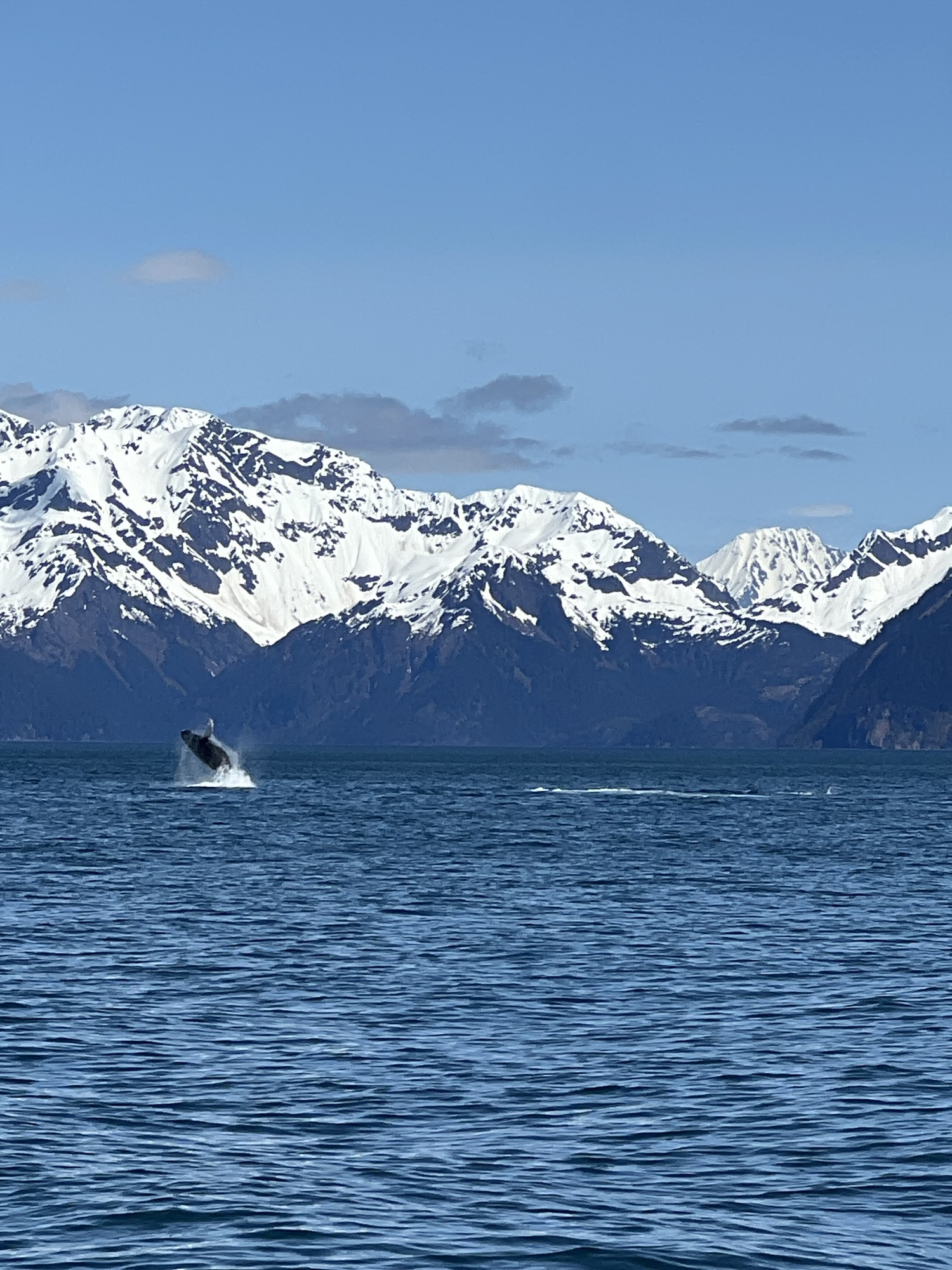 2025阿拉斯加公路旅行Day 4