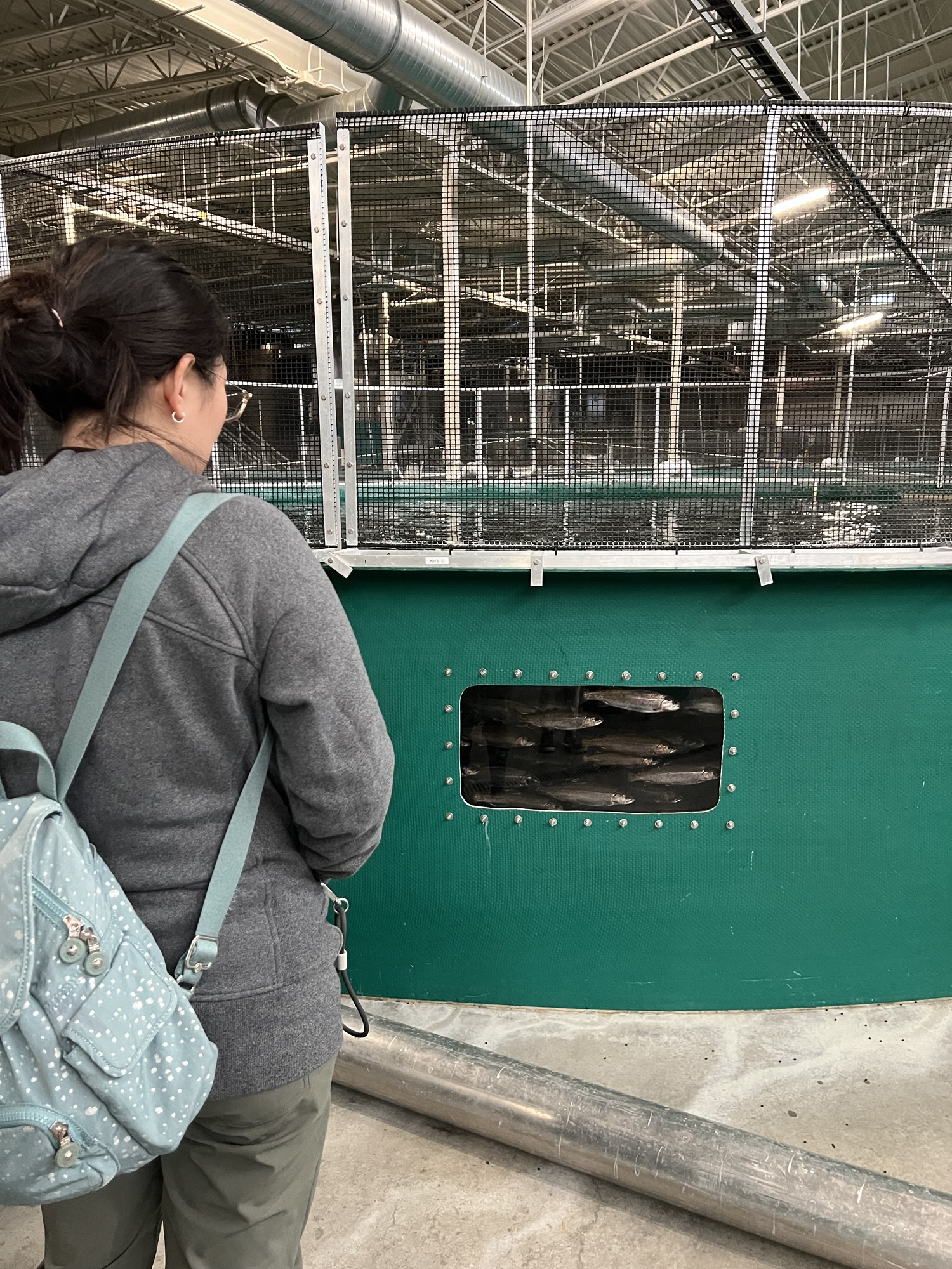 2025阿拉斯加公路旅行Day 5